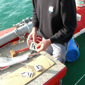 Survey Point